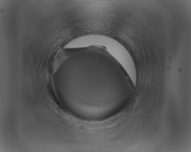 X0000089670039200707121235