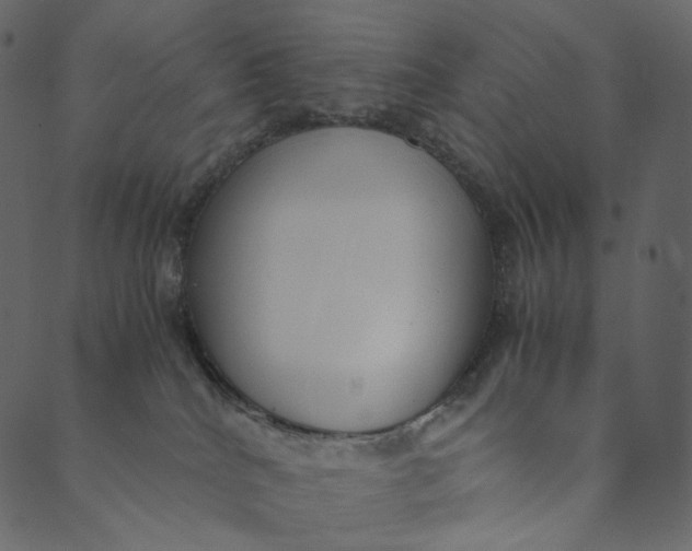 X0000089670040200707121235