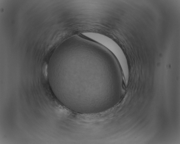 X0000089670041200707121235