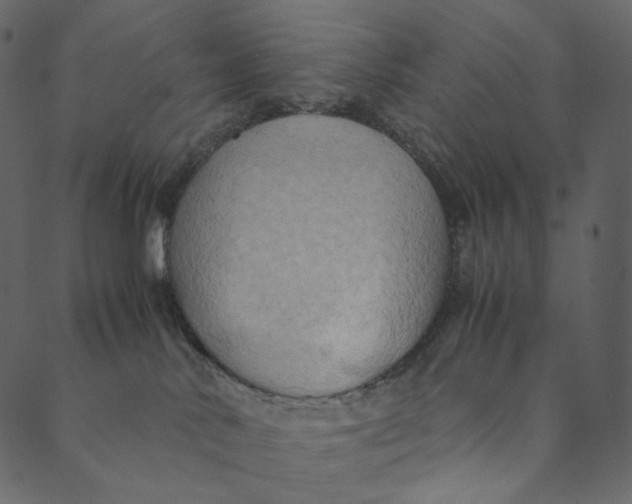 X0000089670042200707121235