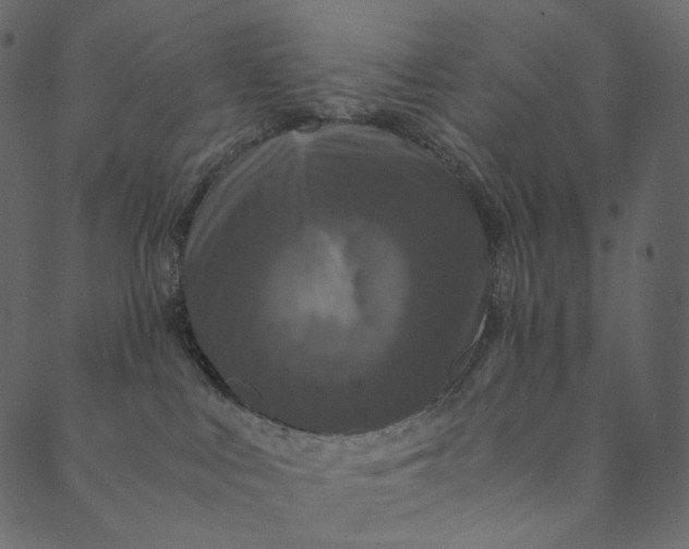 X0000089670043200707121235