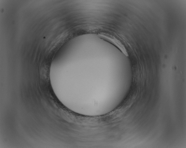 X0000089670044200707121235