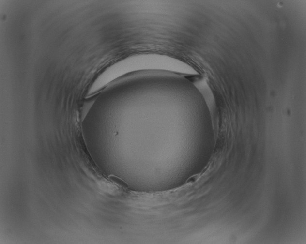 X0000089670045200707121235