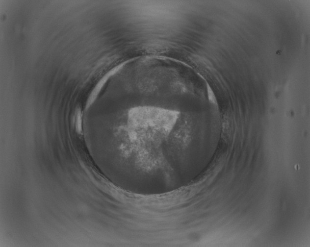 X0000089670046200707121235