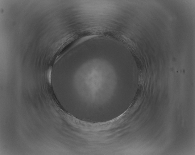 X0000089670047200707121235