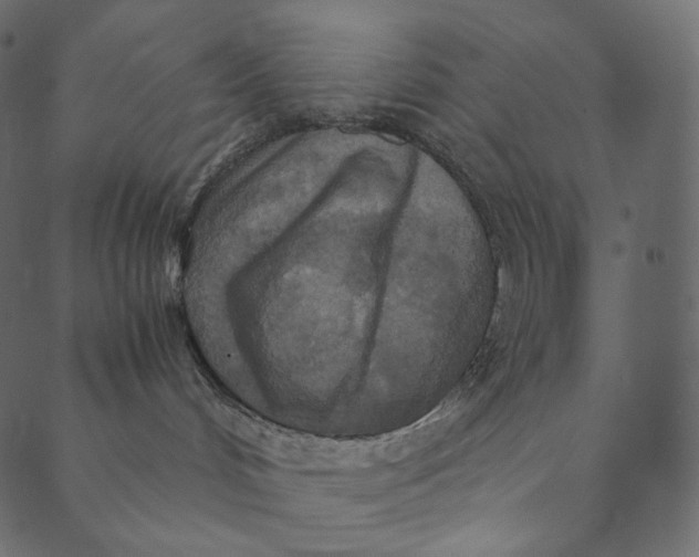 X0000089670048200707121235