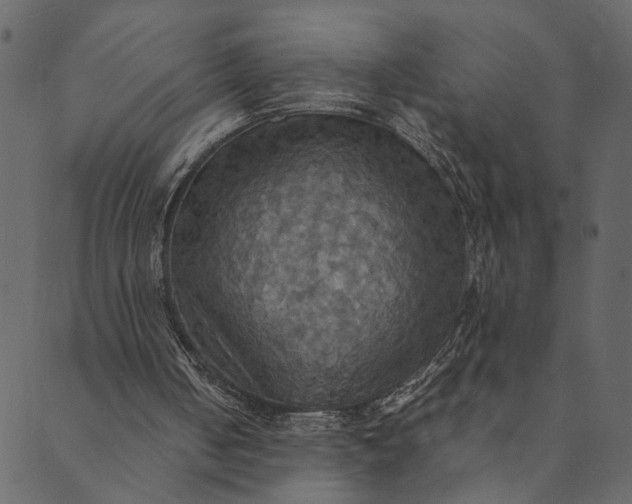 X0000089670050200707121234