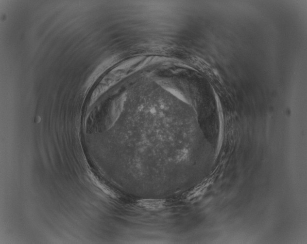 X0000089670051200707121234