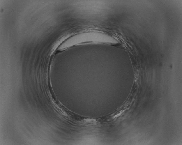 X0000089670052200707121234