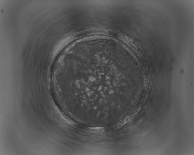 X0000089670053200707121234