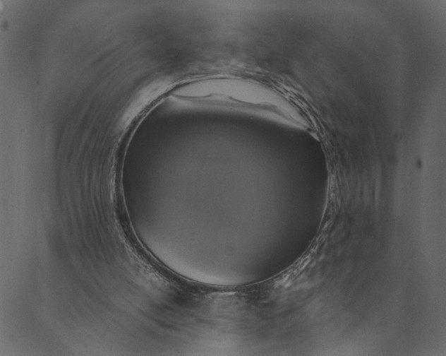 X0000089670054200707121234