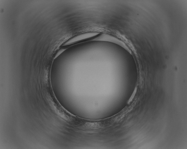 X0000089670057200707121234