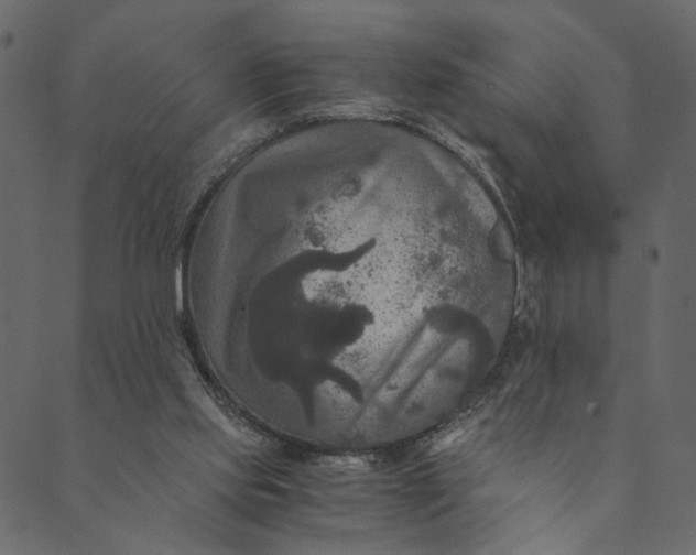 X0000089670061200707121234