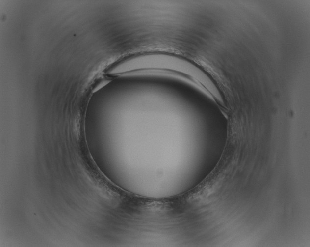 X0000089670064200707121234