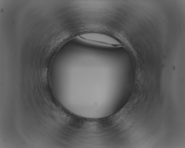 X0000089670066200707121234