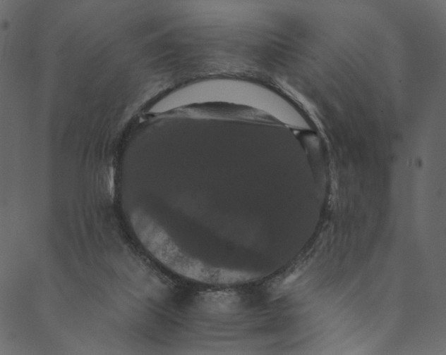 X0000089670067200707121234