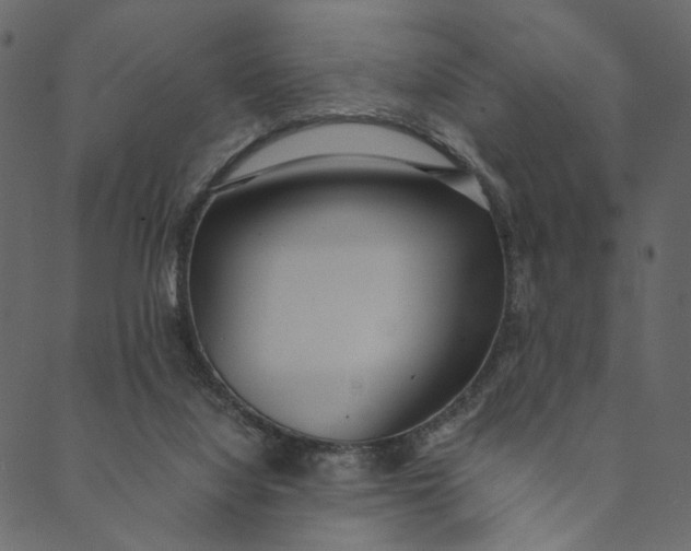 X0000089670068200707121234