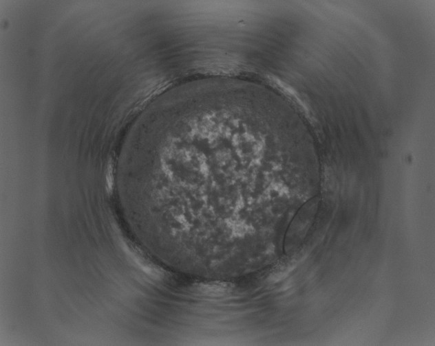 X0000089670069200707121234