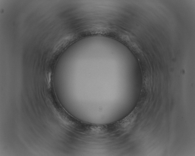 X0000089670070200707121234