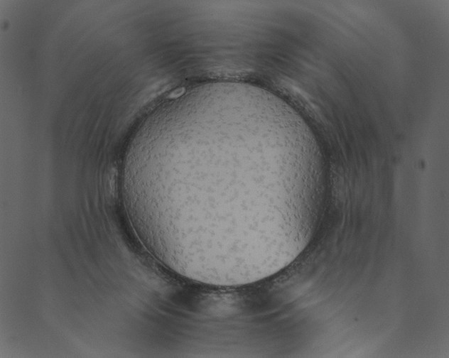 X0000089670071200707121234