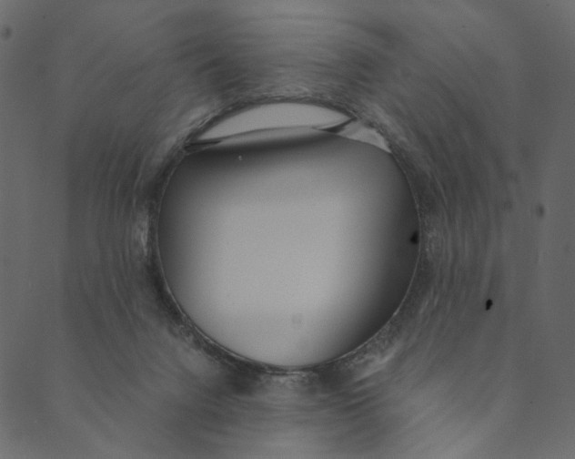 X0000089670072200707121234