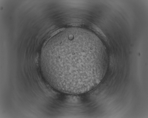 X0000089670073200707121234