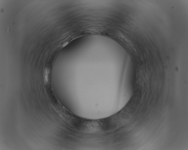 X0000089670075200707121234