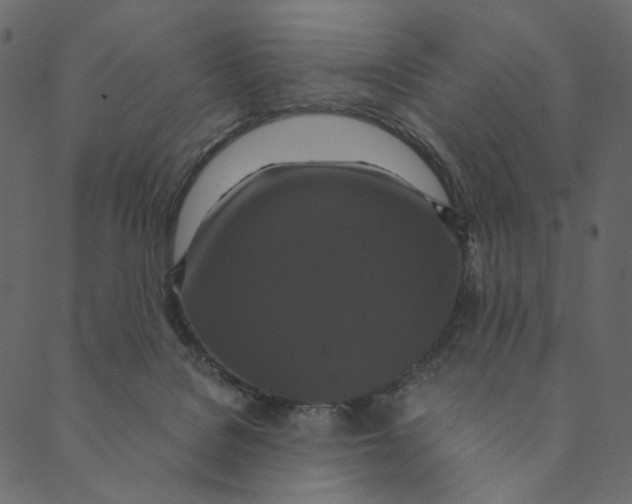 X0000089670076200707121234