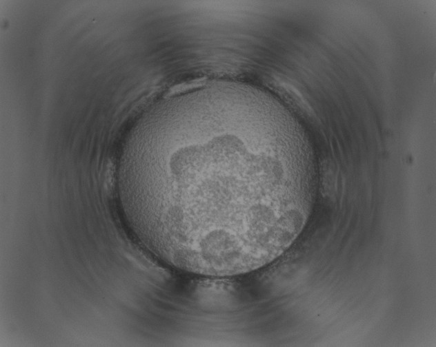 X0000089670077200707121234