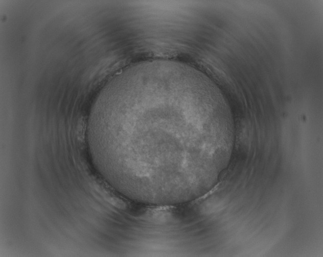 X0000089670078200707121234