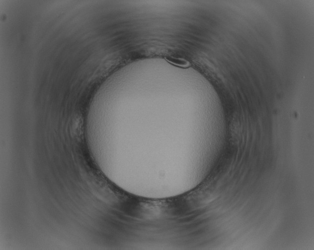 X0000089670079200707121234