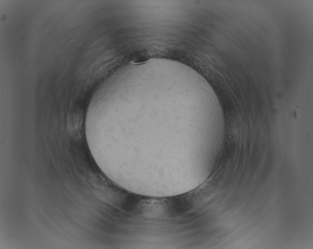 X0000089670082200707121234