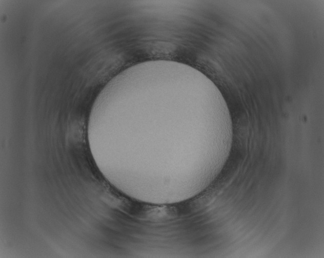 X0000089670083200707121234