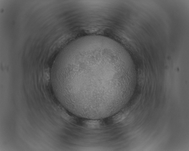 X0000089670085200707121234