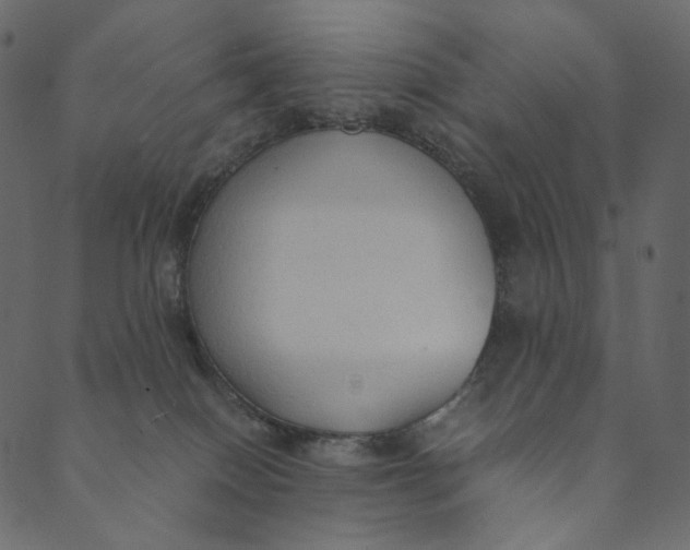 X0000089670086200707121234