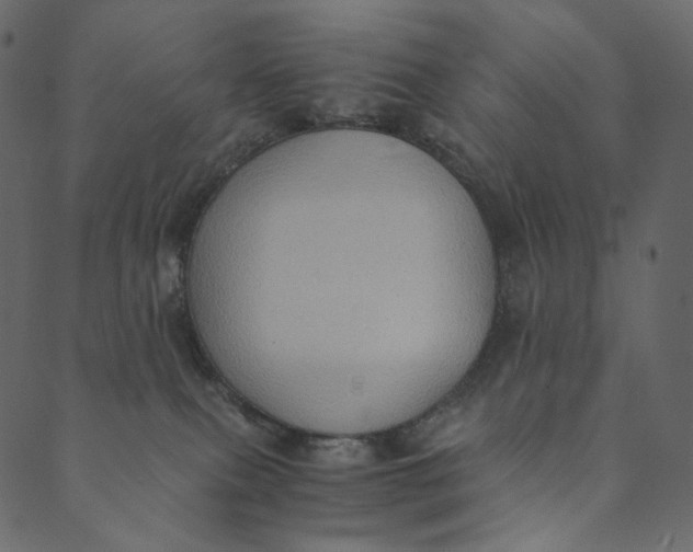 X0000089670087200707121234