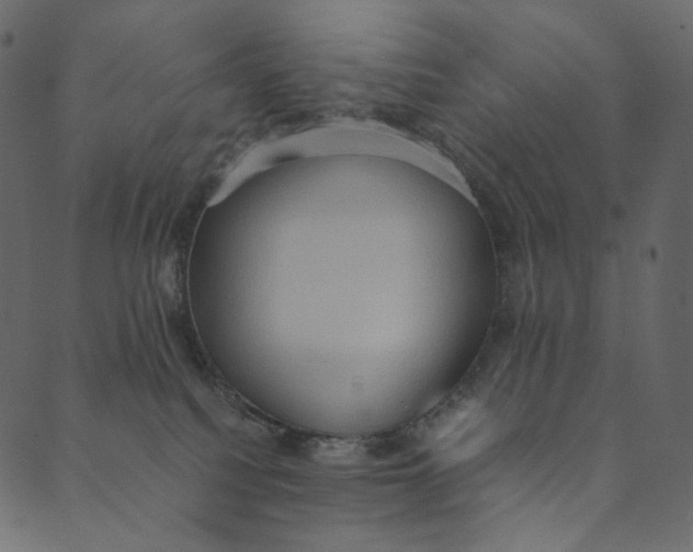 X0000089670088200707121235