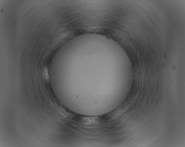 X0000089670089200707121235