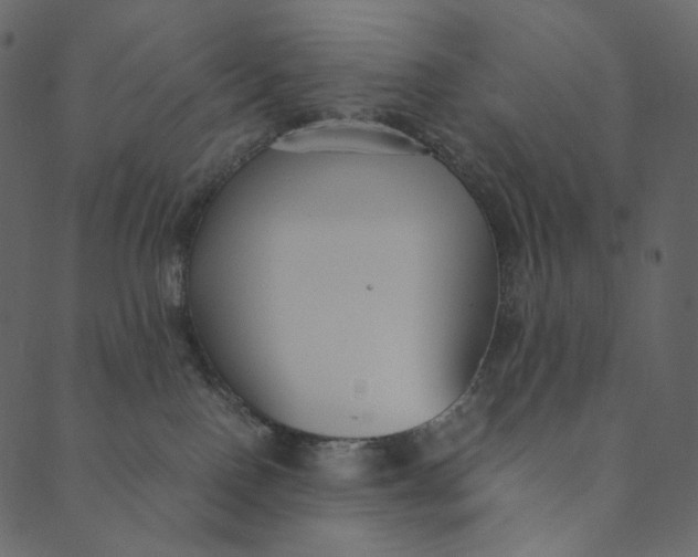 X0000089670090200707121235