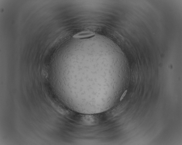 X0000089670091200707121235