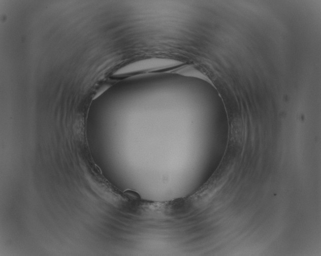 X0000089670092200707121235