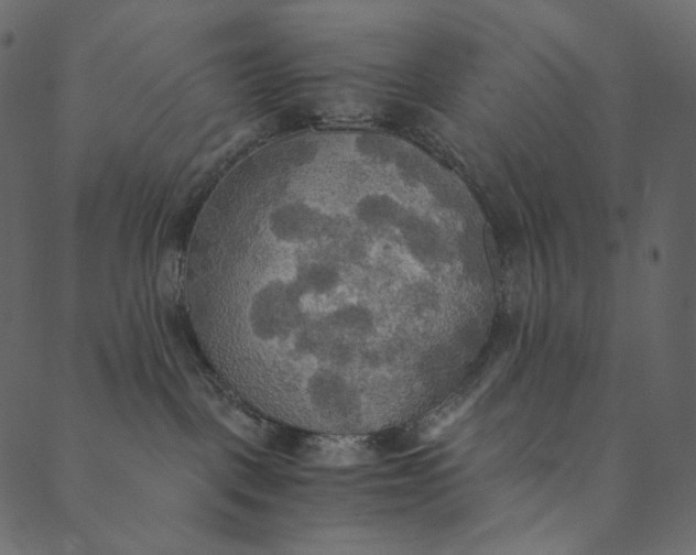 X0000089670093200707121235