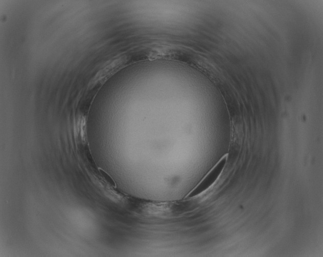 X0000089670094200707121235