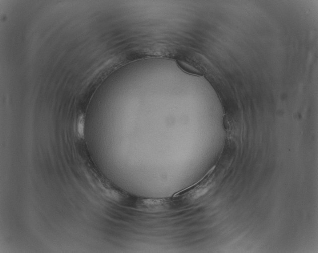 X0000089670095200707121235