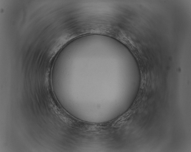 X0000089670098200707121234