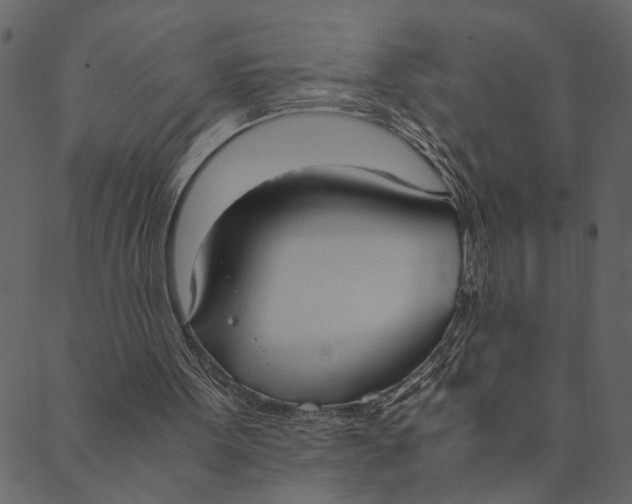 X0000089670099200707121234