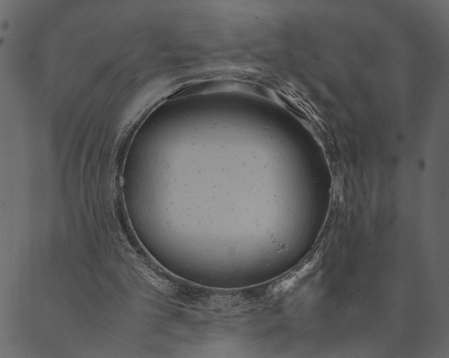 X0000089670101200707121234