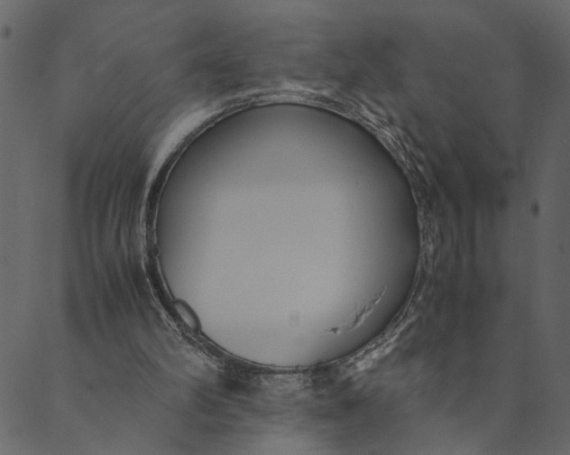 X0000089670102200707121234