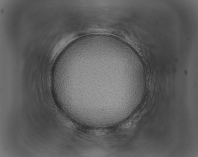 X0000089670103200707121234