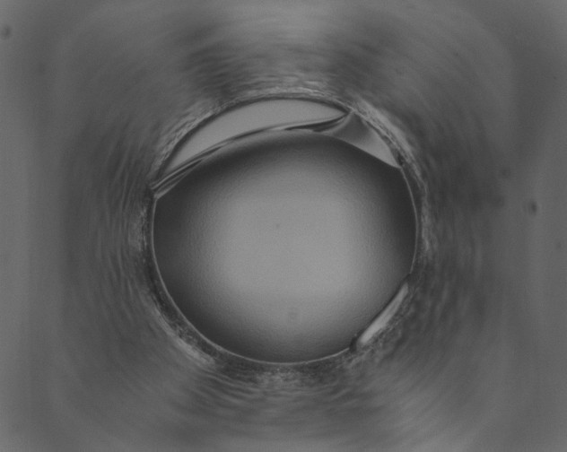 X0000089670105200707121234